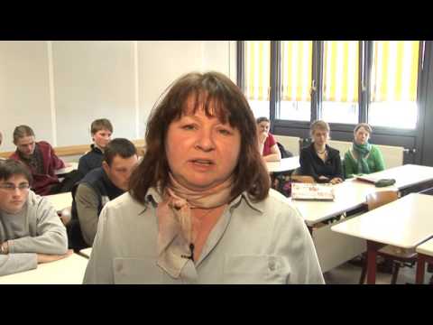 Schule im Wandel - 3.2.2 Internationale Begegnungen