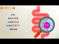 【影音版】膳食纖維不足腸道拉警報！5要訣聰明補