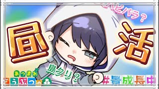 【あつまれどうぶつの森】本日もまたハピパラ昼活【長尾景/にじさんじ】