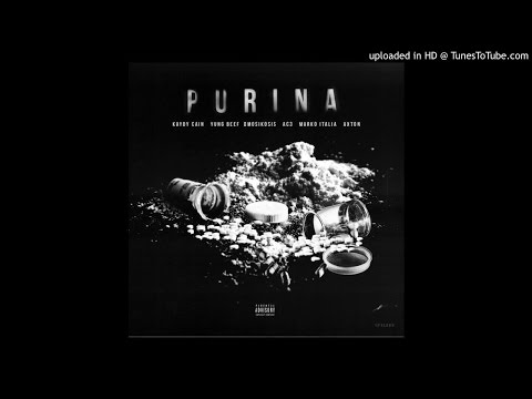 Video thumbnail for PURINA
