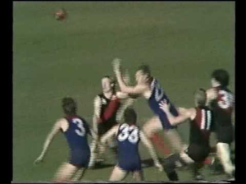 VFL R19 1982 - Melbourne v Essendon