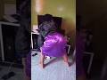 Muslim Girl Twerk Viral Africa Kenya