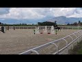 Cavallo 2009 per passaggio brevetto-primo grado