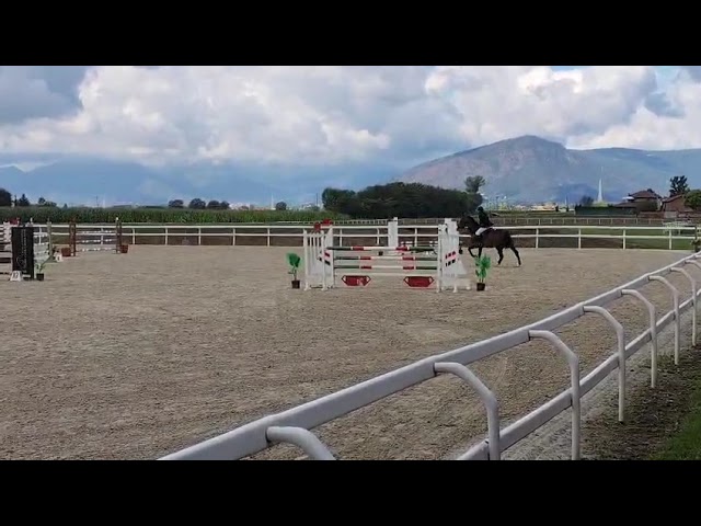 Cavallo 2009 per passaggio brevetto-primo grado