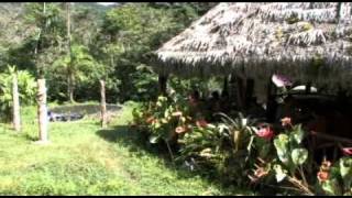 preview picture of video 'Ecolturismo, Pampa Hermosa Lodge'