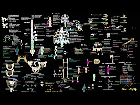 Stuff You Forgot Before Your Next Osteopathic Test: OMM Review-Read Comments