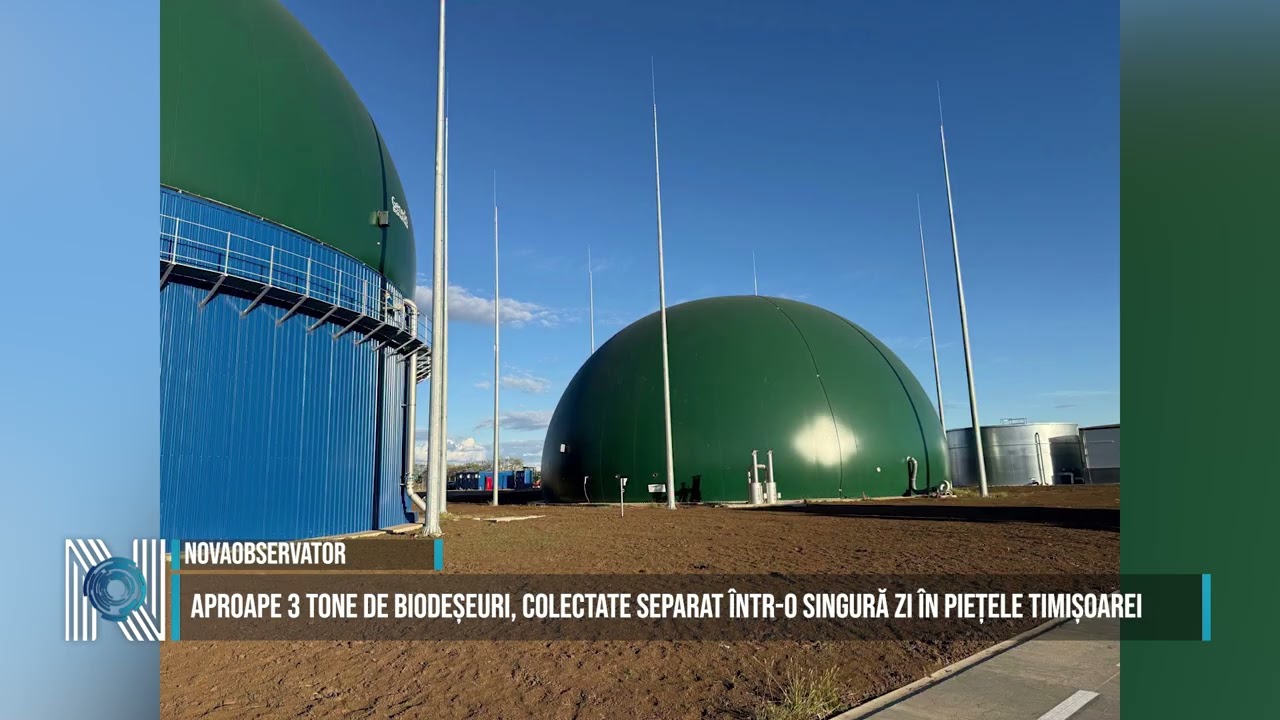 Aproape 3 tone de biodeșeuri, colectate separat într-o singură zi în piețele Timișoarei