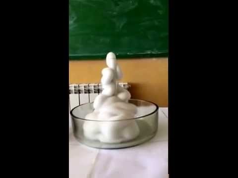 Elephant's Toothpaste, Mrgavan Secondary School