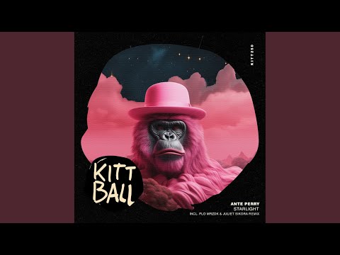 Starlight (Flo Mrzdk & Juliet Sikora Remix)