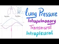 Lung Pressures (Intrapulmonary, Intrapleural & Transmural Pressures) | Lung Physiology