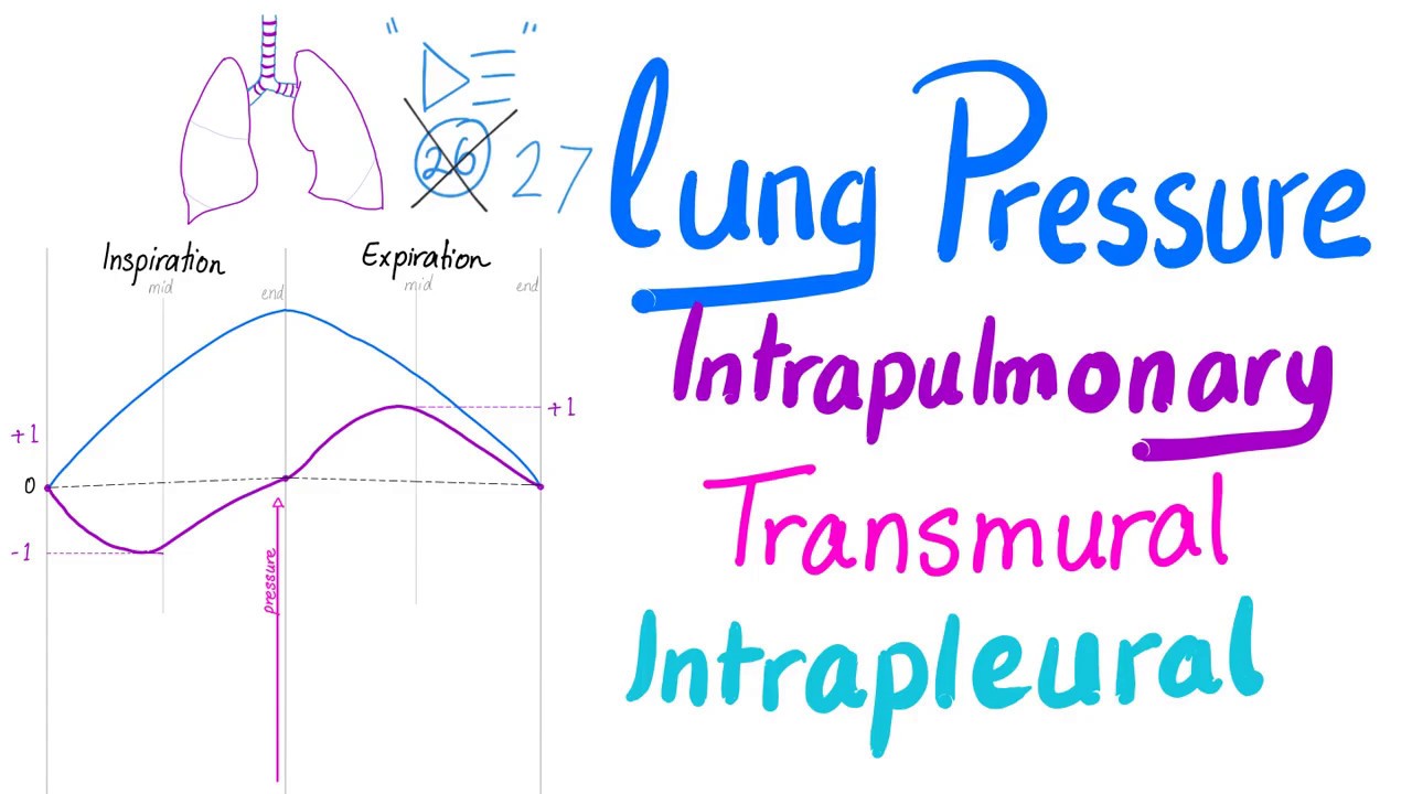 Lung Pressures - Intrapulmonary, Intrapleural & Transmural Pressures - Lung Physiology Series