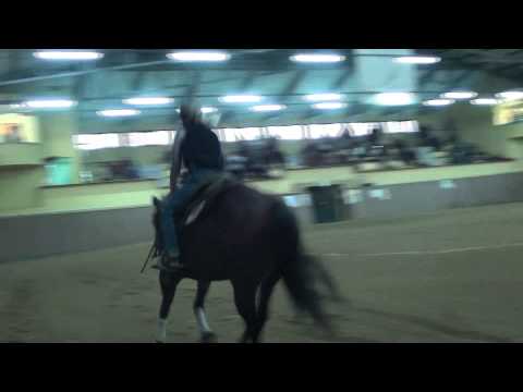 Reining Dzieci XI Mistrzostwa PLWiR 2012 Miejsce II