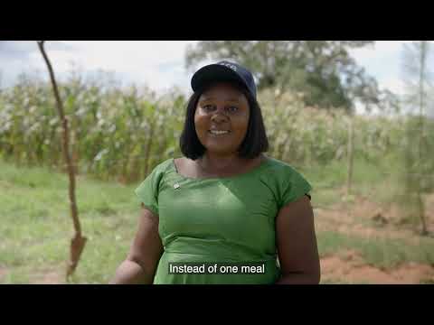 Building Resilience: How IFC, PIA, Mayfair Insurance & ZEP-RE Are Expanding Climate Insurance in Zambia