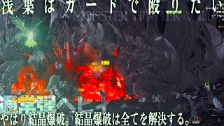 【MHWilds】ゾシア 守勢通常弾レイアヘビィ 猫有り 装衣無し【竜乳結晶】