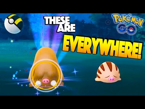THESE ARE MORE COMMON THAN PIDGEY! THE LAND OF PILOSWINE & SWINUB IN POKEMON GO! PGO in Boston