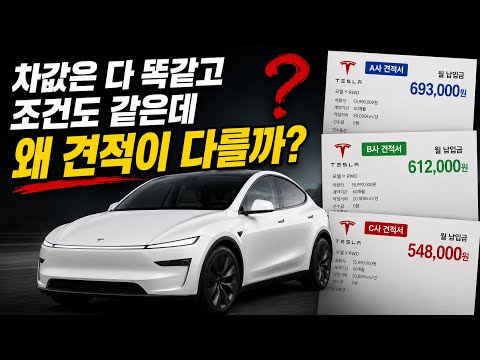 영피랜드 X 차읽남TV