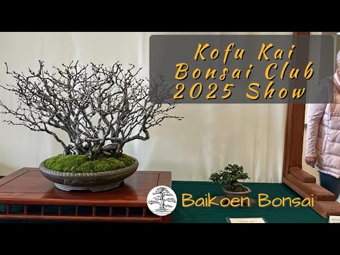 Kofu Kai Bonsai Club - 2025 Fall Show - Bonsai Exhibition - Baikoen Bonsai Club