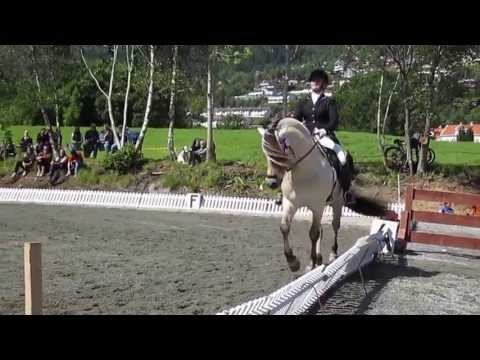 LA:6 Hermanto Finale grenmesterskap dressur fjordhest NM 2013