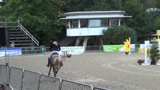 Video of Lady-Lou