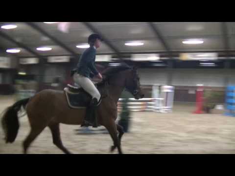 Gavantos by Carthino Z x Nr. Uno @ 1m Tolbert