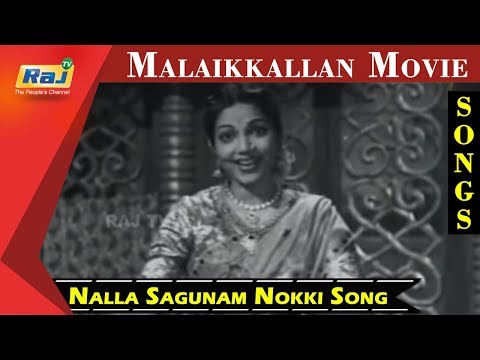Nalla Sagunam Nokki Song | MGR | P. Bhanumathi | Malaikkallan Movie | RajTv