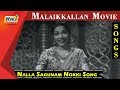 Nalla Sagunam Nokki Song MGR P Bhanumathi Malaikkallan Movie RajTv