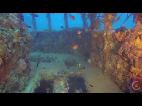 Ep.67, Wreck of Baron Gautsch, Rovinj, Croatia, Fifteen Minutes Dive Shorts (DR)