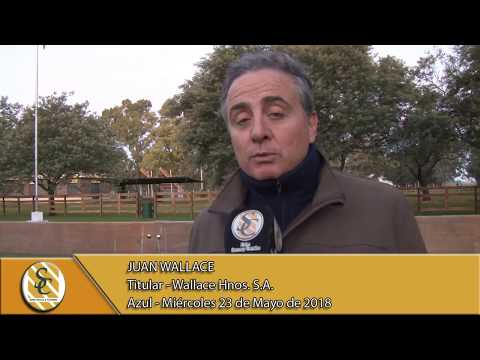 23-05-18 Nota Juan Wallace - Wallace Hnos. S.A. - Azul