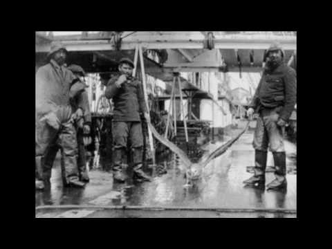 'EL ALBATROS'. Poema de Charles Baudelaire. Recitado por Antonio Lino Rivero Chaparro