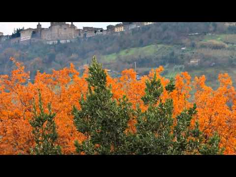 Ripatransone (Ascoli Piceno)