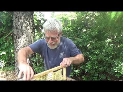 What can you do when you can't find the queen?