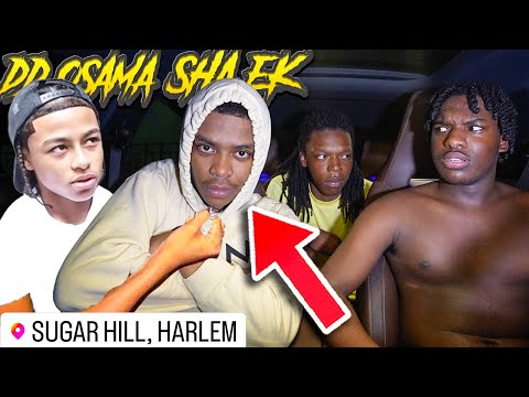 DD Osama Pays Me To Set Up SHA EK *Addressing The Situation*