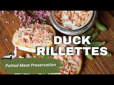 Creating AMAZING Rillettes With Easy Old School Techniques