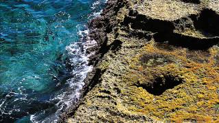 Moby - The Violent Bear It Away (Vova B Remix)