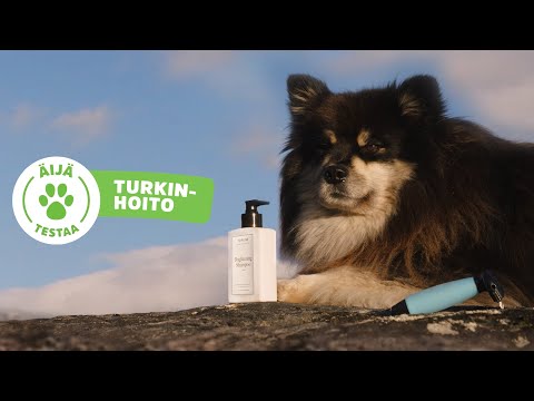 Äijä testaa: Turkinhoito