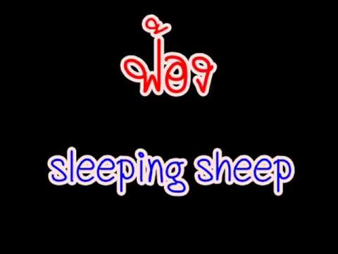 Sleeping Sheep - ฟ้อง  BY arm
