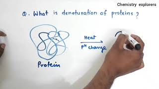 What is denaturation of protein?  /Class 12- Biomolecules / Define native protein?