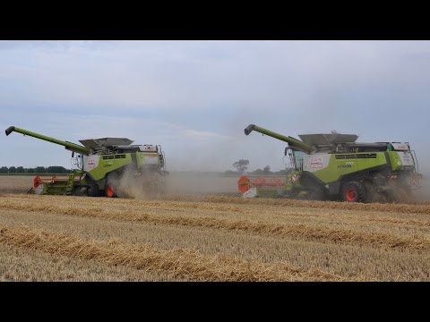 Claas Lexion 770 & 760 - Loonw. De Bruyne - tarwe dorsen 2015