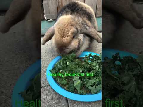 🍇🐰 Nara's Sweet Treat for Strawberry: Grape Rewards & Rabbit Nutrition 🥦🧡 #HealthyBunny
