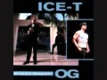 Ice T - Mind Over Matter