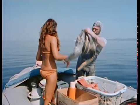 download lagu mp3 mp4 Coral Divers, download lagu Coral Divers gratis, unduh video klip Coral Divers
