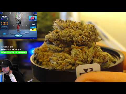 🔞 Weed Review Julius Caesar - Hybrid By The Originals - THC 291.19 mg/g