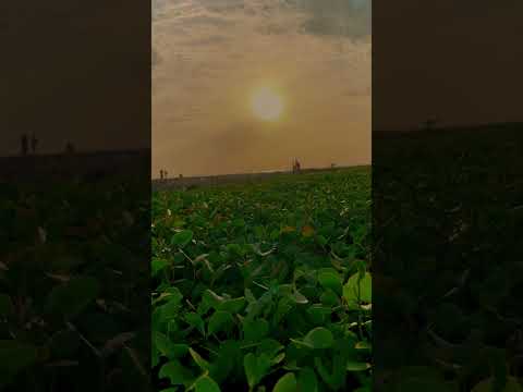 Kollam Thanni Beach.   #music #love #travel #vlog #adventure #bike