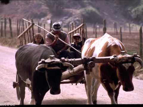 del cielo a tu corazon - los cuatro de chile