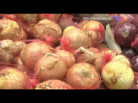 «Күн» ақпараттық бағдарлама 26 қаңтар 2023ж.