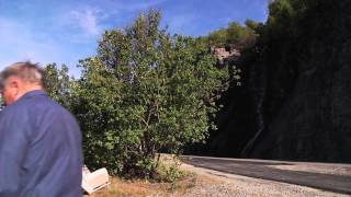 Трейлер превью