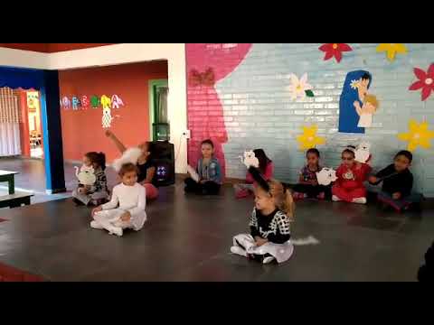 Apresentação O Gato Xadrez -Elvira Drummond - Pré I Prof Joyce