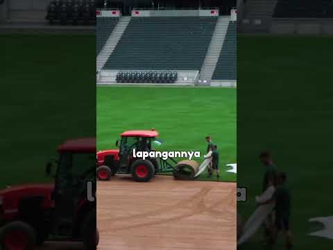Rumput Stadion Final Piala Dunia Dijual Sampai Puluhan Juta #informatif #faktaunik