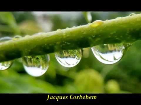 POÉSIE : " LES MOTS SEREINS "