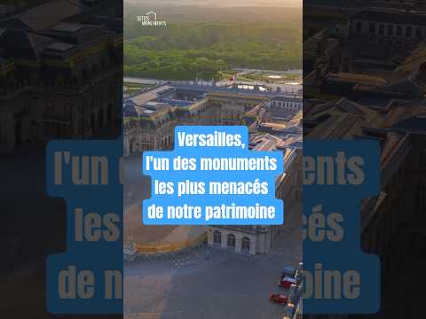 Versailles, l'un des monuments les plus menacés de notre patrimoine
